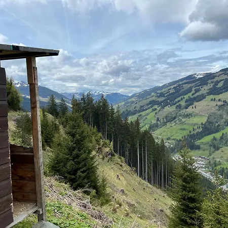 Servus Frühstückspension Viehhofen