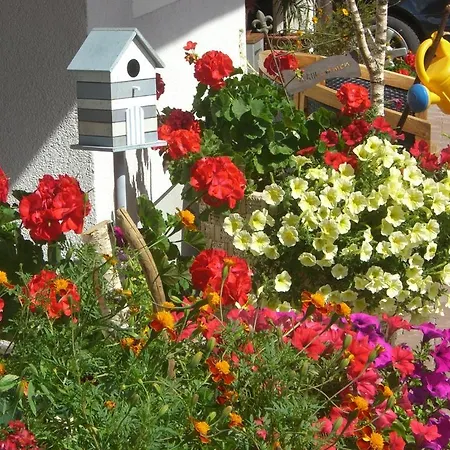 Servus 3* فيهوفن